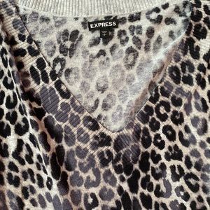 Express light weight sweater